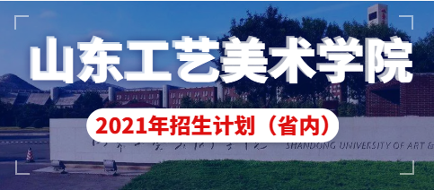 山东工艺美术学院2021年山东省内本专科招生计划