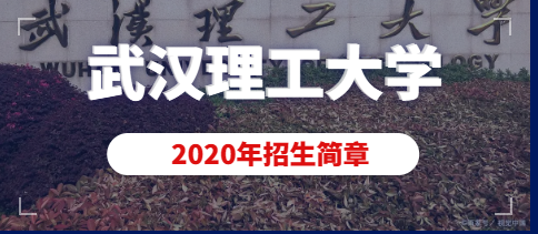 2020年武汉理工大学美术类（动画）专业招生简章