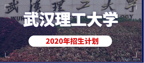 武汉理工大学2020年美术类本科（动画）专业招生计划